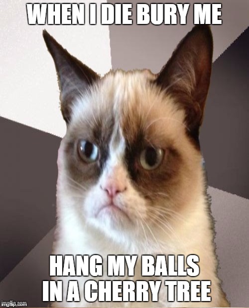 WHEN I DIE BURY ME HANG MY BALLS IN A CHERRY TREE | made w/ Imgflip meme maker