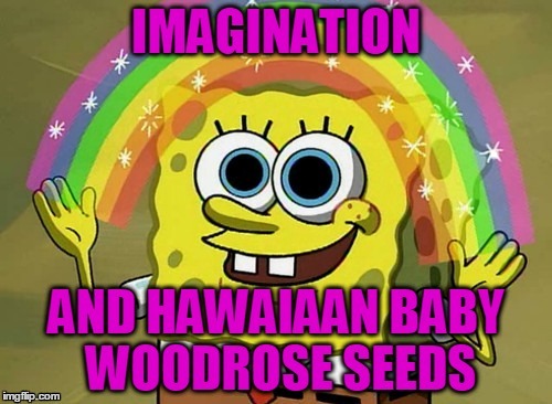 . | made w/ Imgflip meme maker