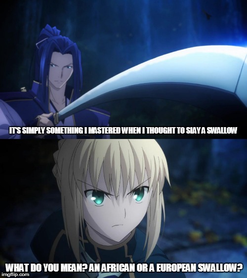 Sparrow or swallow? African or European? | IT'S SIMPLY SOMETHING I MASTERED WHEN I THOUGHT TO SLAY A SWALLOW; WHAT DO YOU MEAN? AN AFRICAN OR A EUROPEAN SWALLOW? | image tagged in saber,assassin,fate stay/night,monty python and the holy grail | made w/ Imgflip meme maker