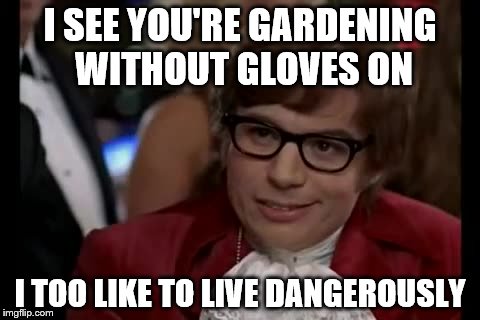 I Too Like To Live Dangerously Meme | I SEE YOU'RE GARDENING WITHOUT GLOVES ON; I TOO LIKE TO LIVE DANGEROUSLY | image tagged in memes,i too like to live dangerously | made w/ Imgflip meme maker