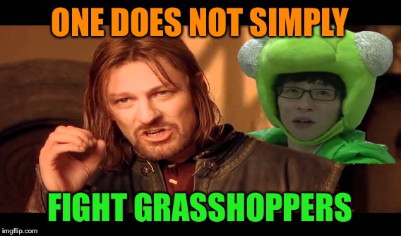 ONE DOES NOT SIMPLY FIGHT GRASSHOPPERS | made w/ Imgflip meme maker