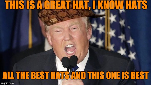 THIS IS A GREAT HAT, I KNOW HATS ALL THE BEST HATS AND THIS ONE IS BEST | made w/ Imgflip meme maker