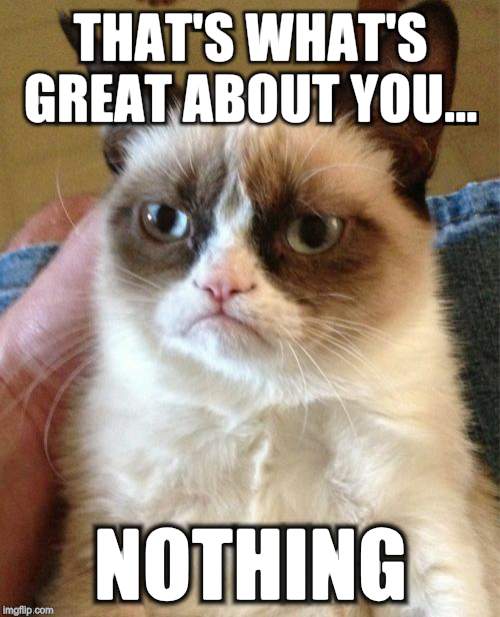 Grumpy Cat | THAT'S WHAT'S GREAT ABOUT YOU... NOTHING | image tagged in memes,grumpy cat | made w/ Imgflip meme maker