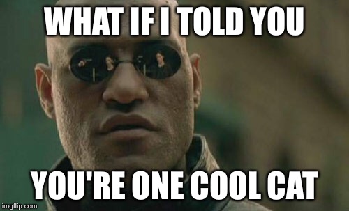 Matrix Morpheus Meme | WHAT IF I TOLD YOU YOU'RE ONE COOL CAT | image tagged in memes,matrix morpheus | made w/ Imgflip meme maker