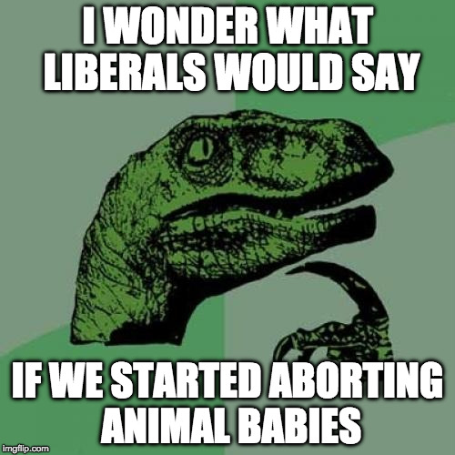 Philosoraptor ponders abortion | I WONDER WHAT LIBERALS WOULD SAY; IF WE STARTED ABORTING ANIMAL BABIES | image tagged in philosoraptor,abortion,animal rights,college liberal,hypocrite,iwanttobebacon | made w/ Imgflip meme maker