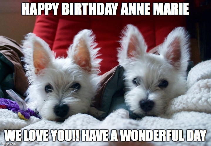HAPPY BIRTHDAY ANNE MARIE; WE LOVE YOU!! HAVE A WONDERFUL DAY | image tagged in pam | made w/ Imgflip meme maker