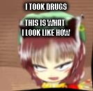 i took drugs | I TOOK DRUGS; THIS IS WHAT I LOOK LIKE NOW | image tagged in touhou | made w/ Imgflip meme maker
