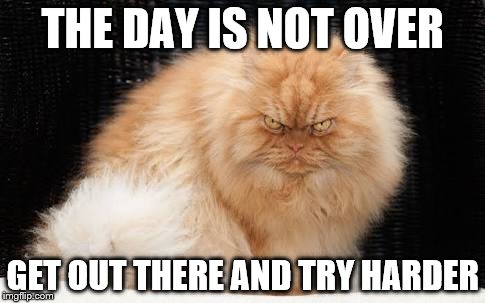 THE DAY IS NOT OVER GET OUT THERE AND TRY HARDER | made w/ Imgflip meme maker