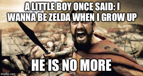 Sparta Leonidas | A LITTLE BOY ONCE SAID: I WANNA BE ZELDA WHEN I GROW UP; HE IS NO MORE | image tagged in memes,sparta leonidas | made w/ Imgflip meme maker