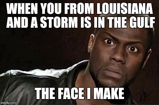 Kevin Hart | WHEN YOU FROM LOUISIANA AND A STORM IS IN THE GULF; THE FACE I MAKE | image tagged in kevin hart | made w/ Imgflip meme maker