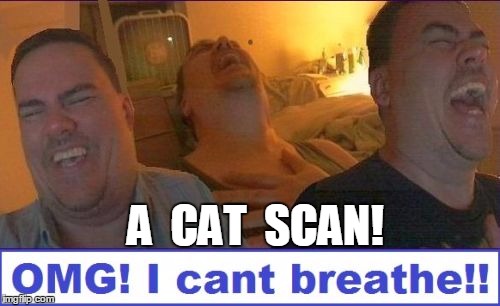 LMAO | A  CAT  SCAN! | image tagged in lmao | made w/ Imgflip meme maker