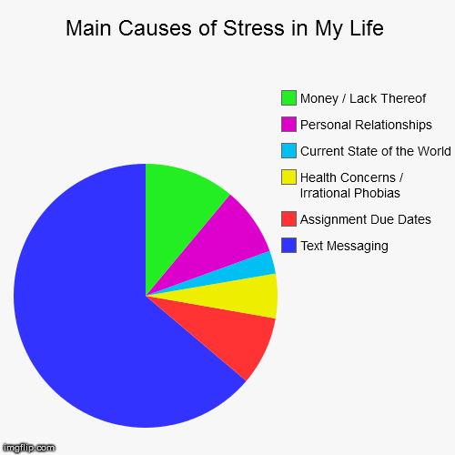 Main Causes of Stress in My Life Imgflip