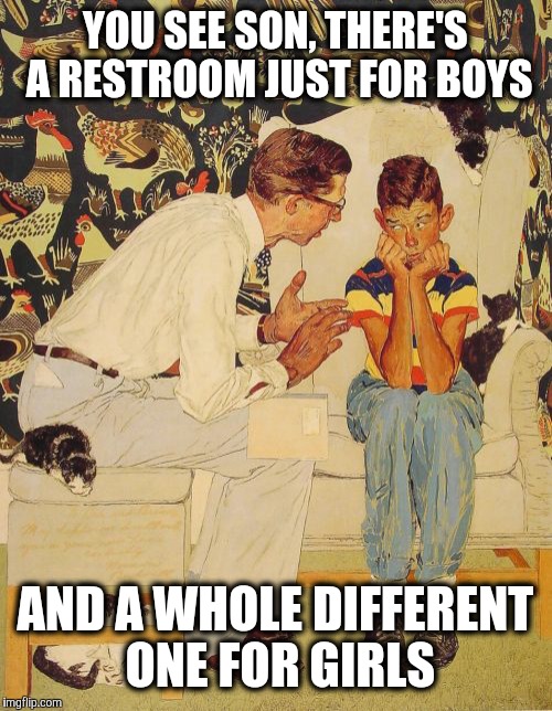 The Problem Is | YOU SEE SON, THERE'S A RESTROOM JUST FOR BOYS; AND A WHOLE DIFFERENT ONE FOR GIRLS | image tagged in memes,the probelm is | made w/ Imgflip meme maker