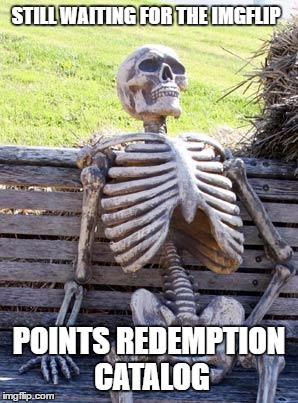 Waiting Skeleton Meme | STILL WAITING FOR THE IMGFLIP; POINTS REDEMPTION CATALOG | image tagged in memes,waiting skeleton | made w/ Imgflip meme maker