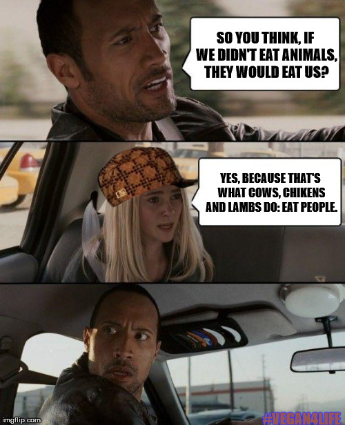 The Rock Driving Meme | SO YOU THINK, IF WE DIDN'T EAT ANIMALS, THEY WOULD EAT US? YES, BECAUSE THAT'S WHAT COWS, CHIKENS AND LAMBS DO: EAT PEOPLE. #VEGAN4LIFE | image tagged in memes,the rock driving,scumbag,vegan4life | made w/ Imgflip meme maker