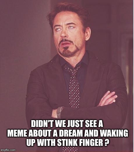 Face You Make Robert Downey Jr Meme | DIDN'T WE JUST SEE A MEME ABOUT A DREAM AND WAKING UP WITH STINK FINGER ? | image tagged in memes,face you make robert downey jr | made w/ Imgflip meme maker