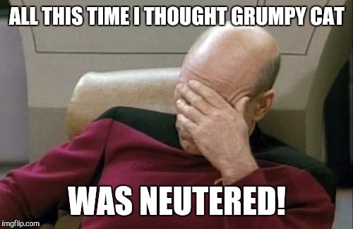 Captain Picard Facepalm Meme | ALL THIS TIME I THOUGHT GRUMPY CAT WAS NEUTERED! | image tagged in memes,captain picard facepalm | made w/ Imgflip meme maker