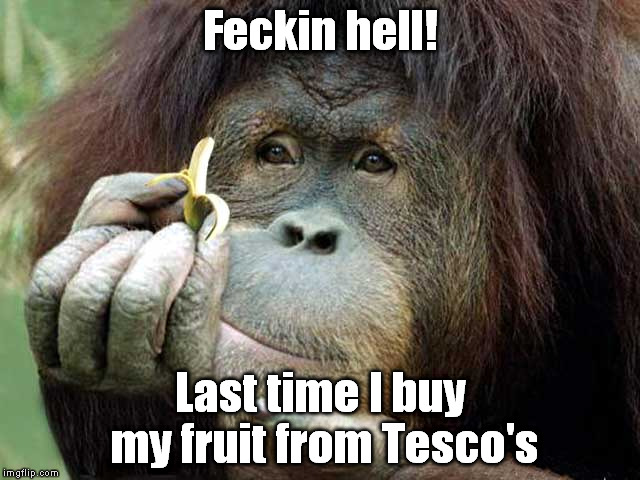 monkey | Feckin hell! Last time I buy my fruit from Tesco's | image tagged in funny | made w/ Imgflip meme maker