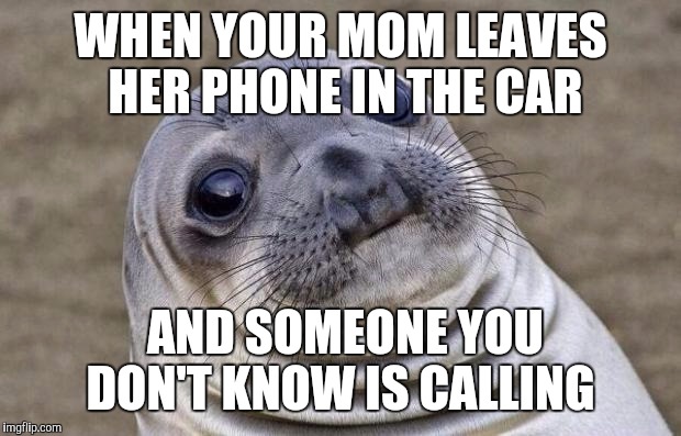 Awkward Moment Sealion Meme | WHEN YOUR MOM LEAVES HER PHONE IN THE CAR; AND SOMEONE YOU DON'T KNOW IS CALLING | image tagged in memes,awkward moment sealion | made w/ Imgflip meme maker