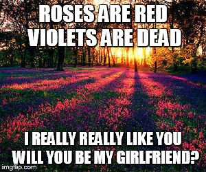 screw it | ROSES ARE RED VIOLETS ARE DEAD; I REALLY REALLY LIKE YOU 
WILL YOU BE MY GIRLFRIEND? | image tagged in roses are red,roses are red violets are are blue,sweet,poem,funny | made w/ Imgflip meme maker