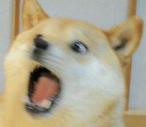 High Quality Doge freaks out Blank Meme Template