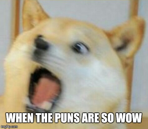 Doge freaks out | WHEN THE PUNS ARE SO WOW | image tagged in doge freaks out | made w/ Imgflip meme maker