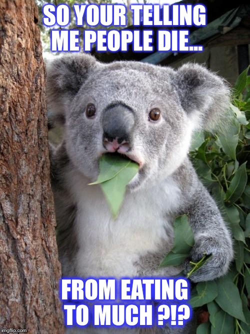 Surprised Koala | SO YOUR TELLING ME PEOPLE DIE... FROM EATING TO MUCH ?!? | image tagged in memes,surprised koala | made w/ Imgflip meme maker
