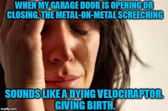 Time for the WD-40... | WHEN MY GARAGE DOOR IS OPENING OR CLOSING, THE METAL-ON-METAL SCREECHING; SOUNDS LIKE A DYING VELOCIRAPTOR. GIVING BIRTH. | image tagged in memes,first world problems,velociraptor,noise,up and down,door | made w/ Imgflip meme maker