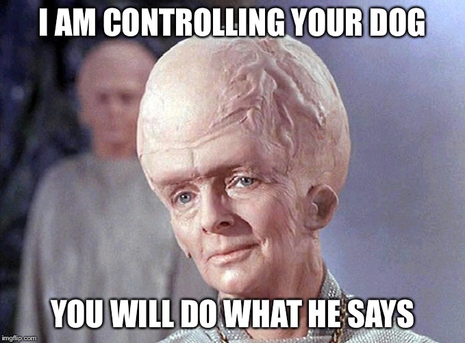 TALOSIAN SMIRK | I AM CONTROLLING YOUR DOG YOU WILL DO WHAT HE SAYS | image tagged in talosian smirk | made w/ Imgflip meme maker