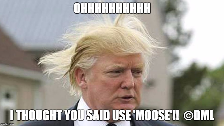 MOUSSE NOT MOOSE | OHHHHHHHHHH; I THOUGHT YOU SAID USE 'MOOSE'!!  ©DML | image tagged in donald trump,donald trumph hair | made w/ Imgflip meme maker