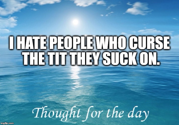 I hate ungrateful people | I HATE PEOPLE WHO CURSE THE TIT THEY SUCK ON. | image tagged in nasty | made w/ Imgflip meme maker