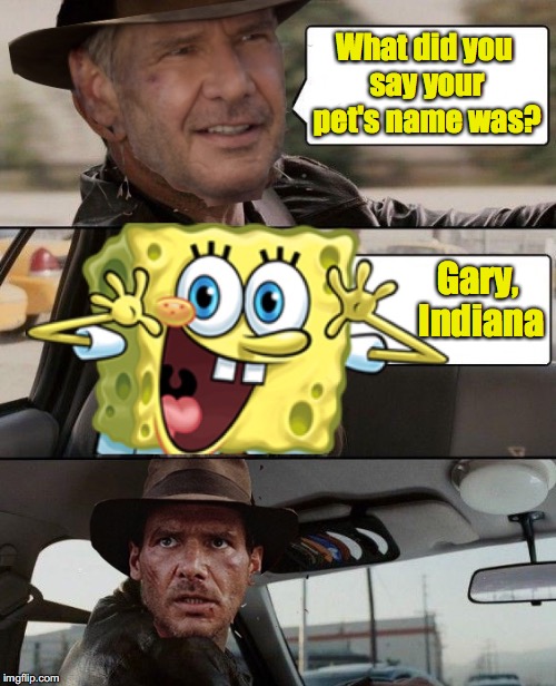 Just like the song in The Music Man | What did you say your pet's name was? Gary, Indiana | image tagged in indiana jones,spongebob | made w/ Imgflip meme maker