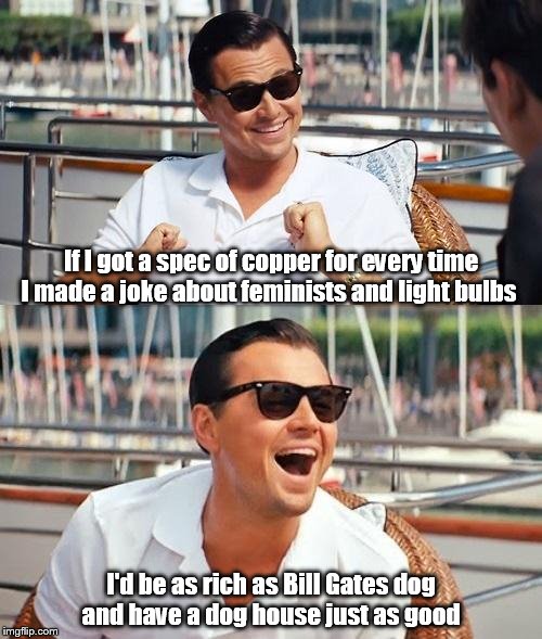 Leonardo Dicaprio Wolf Of Wall Street | If I got a spec of copper for every time I made a joke about feminists and light bulbs; I'd be as rich as Bill Gates dog and have a dog house just as good | image tagged in memes,leonardo dicaprio wolf of wall street | made w/ Imgflip meme maker