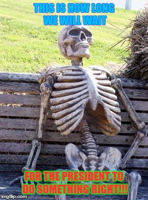 Waiting Skeleton Meme | THIS IS HOW LONG WE WILL WAIT; FOR THE PRESIDENT TO DO SOMETHING RIGHT!!! | image tagged in memes,waiting skeleton | made w/ Imgflip meme maker