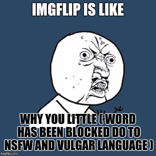 Y U No | IMGFLIP IS LIKE; WHY YOU LITTLE ( WORD HAS BEEN BLOCKED DO TO NSFW AND VULGAR LANGUAGE ) | image tagged in memes,y u no | made w/ Imgflip meme maker