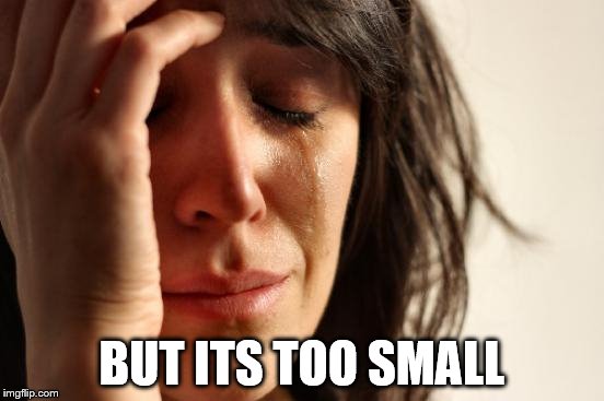 First World Problems Meme | BUT ITS TOO SMALL | image tagged in memes,first world problems | made w/ Imgflip meme maker