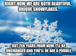 The Snowflake | RIGHT NOW WE ARE BOTH BEAUTIFUL, UNIQUE SNOWFLAKES. BUT TEN YEARS FROM NOW, I'LL BE UNCHANGED AND YOU'LL BE ARE A PUDDLE. | image tagged in snowflake,puddle,metaphors,life,thedifferencebetweenus | made w/ Imgflip meme maker