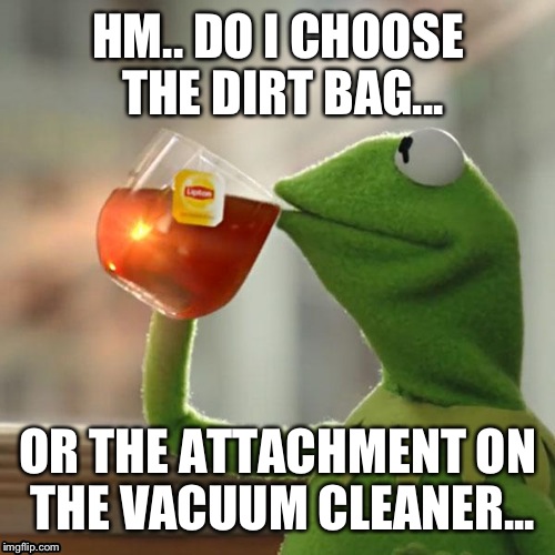 But That's None Of My Business Meme | HM.. DO I CHOOSE THE DIRT BAG... OR THE ATTACHMENT ON THE VACUUM CLEANER... | image tagged in memes,but thats none of my business,kermit the frog | made w/ Imgflip meme maker