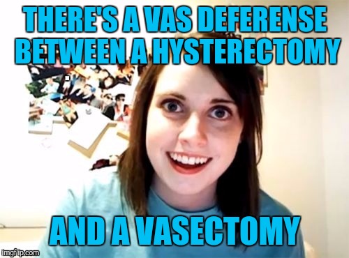 THERE'S A VAS DEFERENSE BETWEEN A HYSTERECTOMY AND A VASECTOMY | made w/ Imgflip meme maker