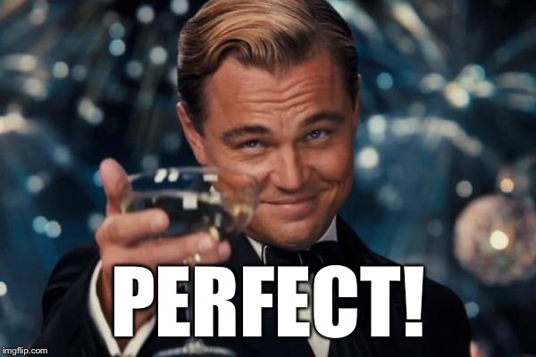 Leonardo Dicaprio Cheers Meme | PERFECT! | image tagged in memes,leonardo dicaprio cheers | made w/ Imgflip meme maker