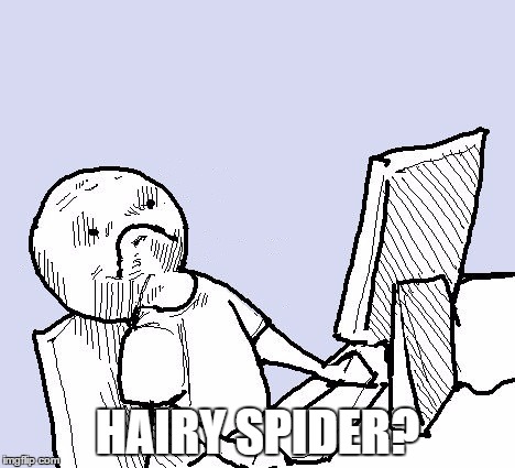 HAIRY SPIDER? | made w/ Imgflip meme maker