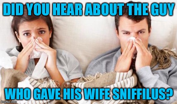 DID YOU HEAR ABOUT THE GUY WHO GAVE HIS WIFE SNIFFILUS? | made w/ Imgflip meme maker