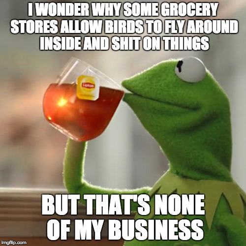 But That's None Of My Business | I WONDER WHY SOME GROCERY STORES ALLOW BIRDS TO FLY AROUND INSIDE AND SHIT ON THINGS; BUT THAT'S NONE OF MY BUSINESS | image tagged in memes,but thats none of my business,kermit the frog | made w/ Imgflip meme maker