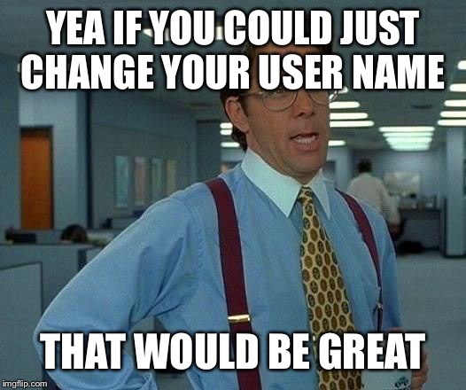 That Would Be Great Meme | YEA IF YOU COULD JUST CHANGE YOUR USER NAME THAT WOULD BE GREAT | image tagged in memes,that would be great | made w/ Imgflip meme maker
