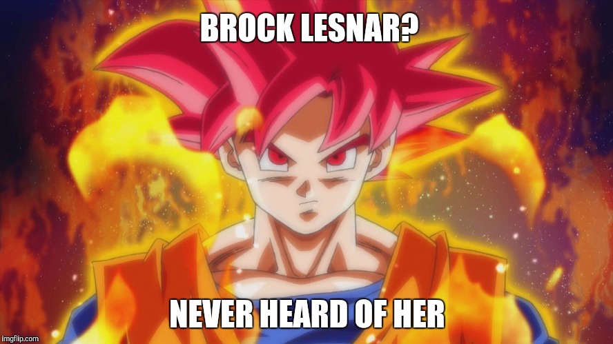 BROCK LESNAR? NEVER HEARD OF HER | image tagged in condescending goku,goku,brock lesnar,memes | made w/ Imgflip meme maker