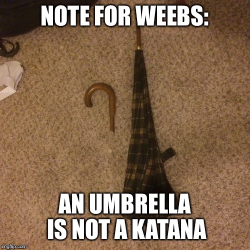 Swing a real practice sword next time. | NOTE FOR WEEBS:; AN UMBRELLA IS NOT A KATANA | image tagged in katana,weapons,anime,otaku | made w/ Imgflip meme maker