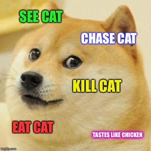 Doge Meme | SEE CAT CHASE CAT KILL CAT EAT CAT TASTES LIKE CHICKEN | image tagged in memes,doge | made w/ Imgflip meme maker