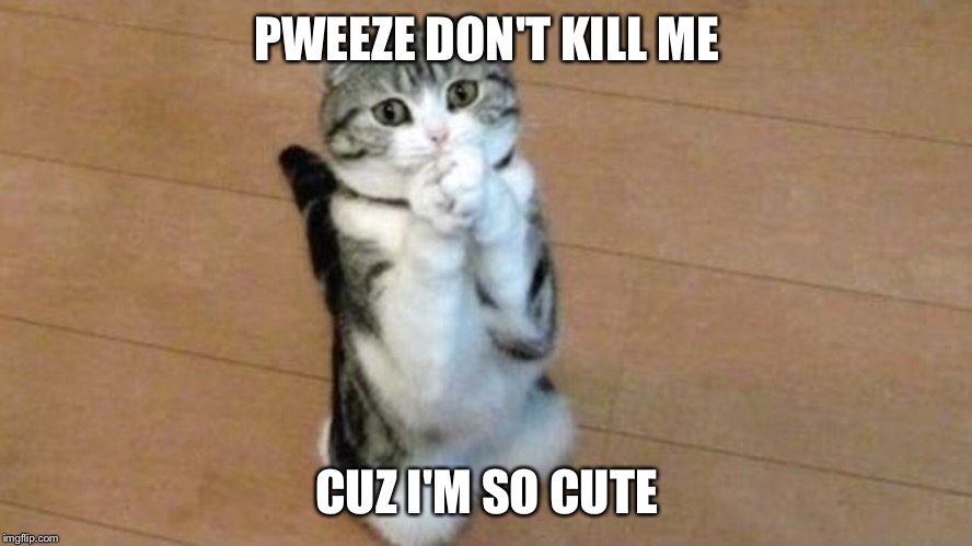 PWEEZE DON'T KILL ME CUZ I'M SO CUTE | made w/ Imgflip meme maker