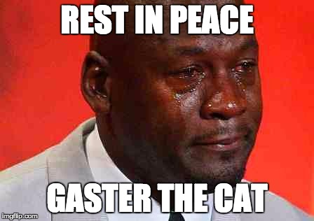 My pet cat died | REST IN PEACE; GASTER THE CAT | image tagged in crying michael jordan,pets,death,sadness | made w/ Imgflip meme maker