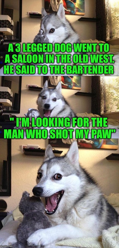 Bad Pun Dog | A 3 LEGGED DOG WENT TO A SALOON IN THE OLD WEST. HE SAID TO THE BARTENDER; " I'M LOOKING FOR THE MAN WHO SHOT MY PAW" | image tagged in memes,bad pun dog | made w/ Imgflip meme maker